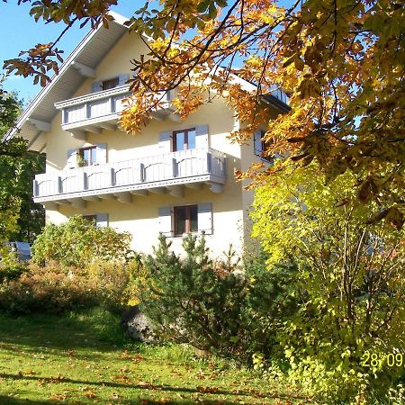 Hotel Maier Pension à Bayerisch Eisenstein Extérieur photo