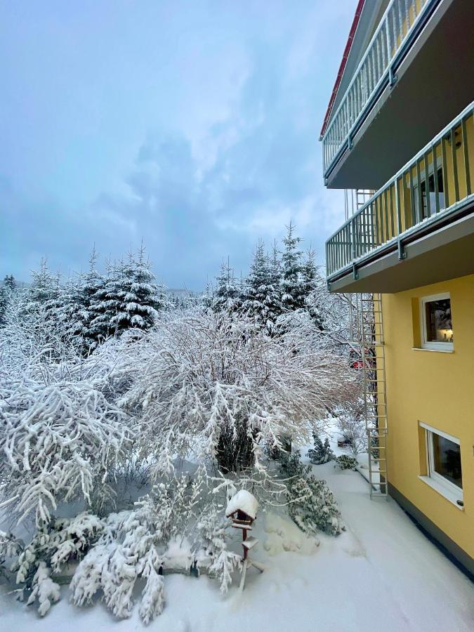 Hotel Maier Pension à Bayerisch Eisenstein Extérieur photo