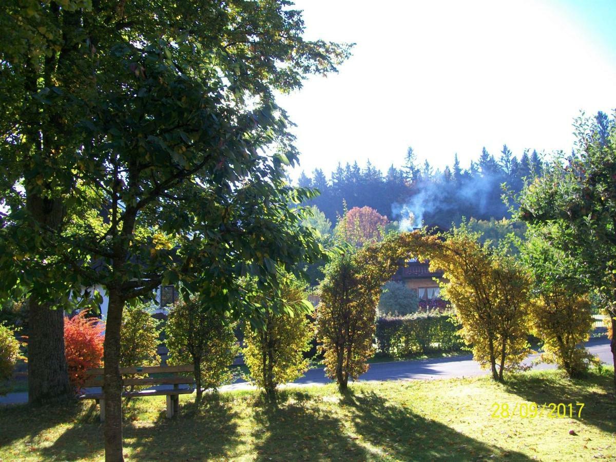 Hotel Maier Pension à Bayerisch Eisenstein Extérieur photo