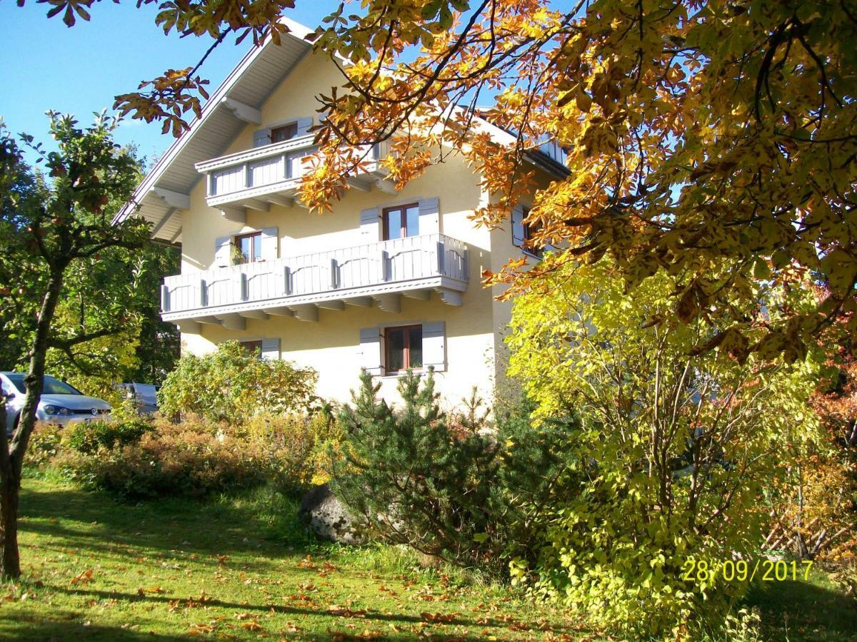 Hotel Maier Pension à Bayerisch Eisenstein Extérieur photo